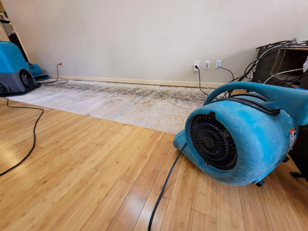Professional Flood Damage Cleanup technician working in Deerfield, WI